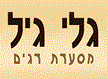 גלי גיל